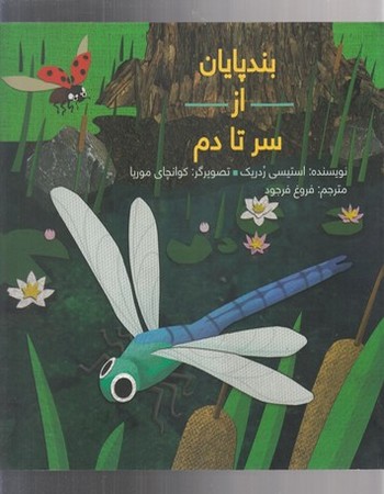 بندپایان از سر تا دم